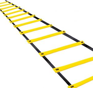 Gym All Around Gym accessories  Teenitor 13 Rung Agility fitness ladder